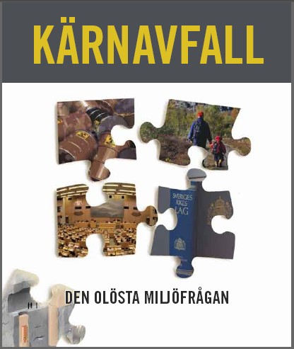 mkg2009karnavfall.jpg