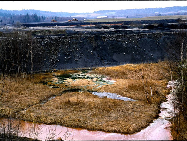 9. Untreated wastes.